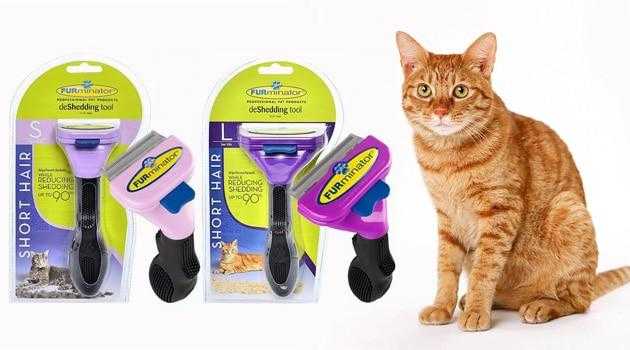 Фурминатор для кошек: что это такое и как им пользоваться