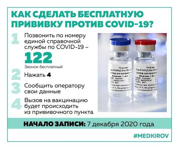 Вакцинация котят: схема, цена, вакцины, подготовка
