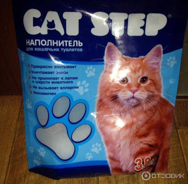 Какой наполнитель для кошачьего туалета лучше. виды наполнителей и отзывы - kotiko.ru