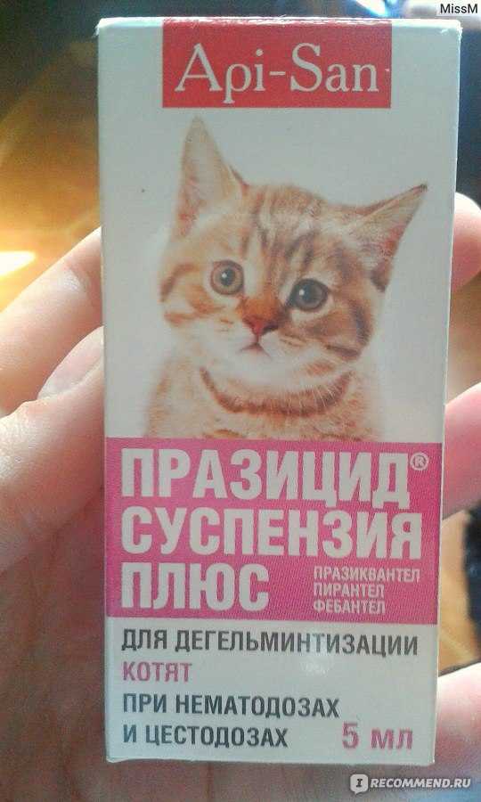 Празицид для кошек от глистов