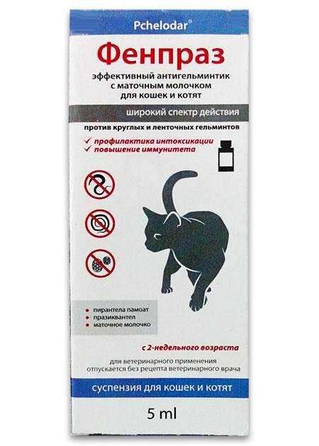 Фенпраз для кошек: инструкция по применению, когда и как применять, отзывы ветеринаров