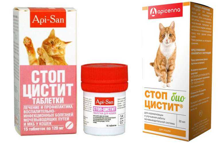 Препарат для кошек Стоп-цистит: состав и механизм действия, побочные эффекты, инструкция применения и расчет дозировки, цены на лекарство, отзывы