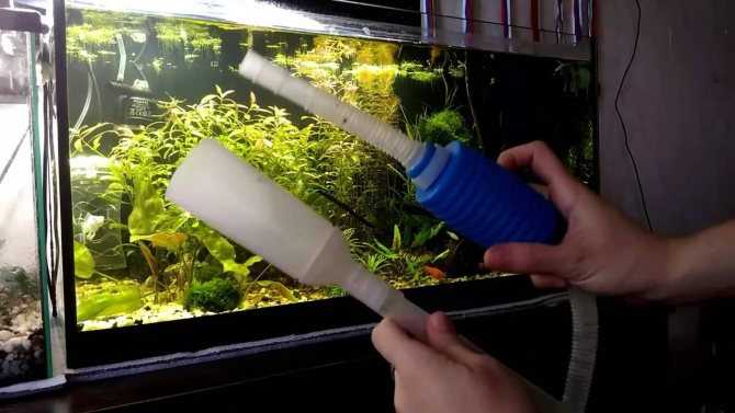 Как почистить аквариум от налета в домашних условиях