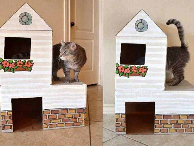 Домик для кошки своими руками из коробки. Домик для кошек. Картонный домик для кота. Домик для кошки из картона. Домик для кота из коробок.