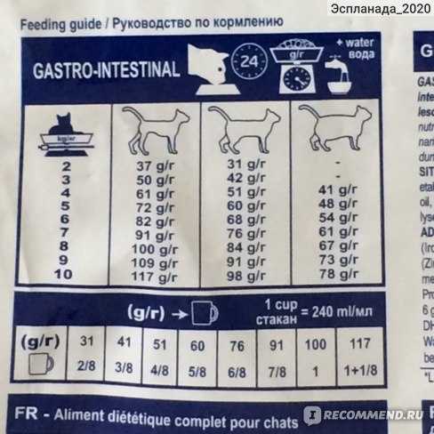Сколько раз кормить котенка в 1, 2, 3, 4, 5 и 6 месяцев: норма кормления, описание правильного рациона питания
