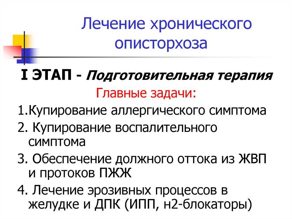 Глисты у кота: симптомы, лечение, профилактика | блог ветклиники "беланта"