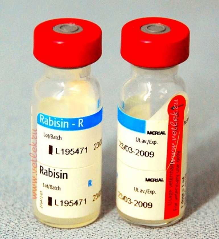 Производители вакцин для кошек. Эурикан Рабизин. Рабизин вакцина для собак. Рабизин Эурикан вакцина. Рабизин Эурикан вакцина для собак.