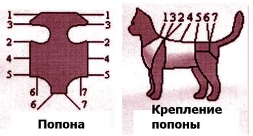 Как сшить попону для кошки после стерилизации: выкройка одежды своими руками