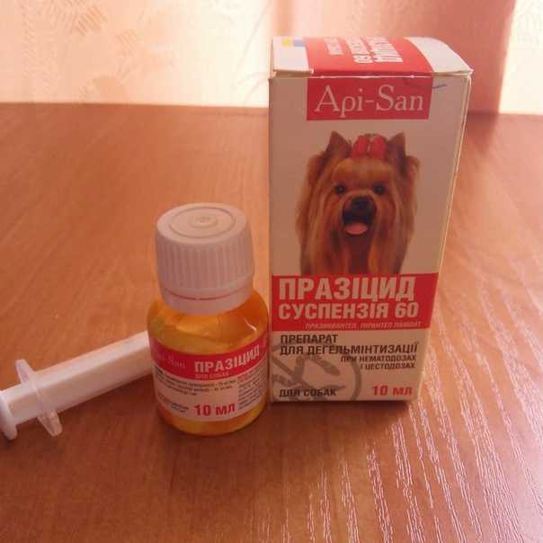 Через сколько дней можно делать прививку собаке после глистогонк? - отвечает  ветврач