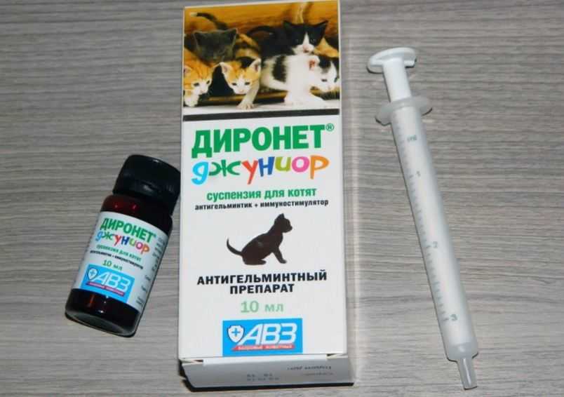 Ковинан для кошек - 125 фото, состав и инструкция по применению препарата