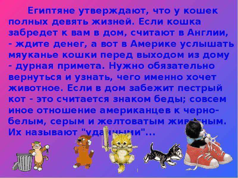 ᐉ почему у кошки 9 жизней - zoovet24.ru