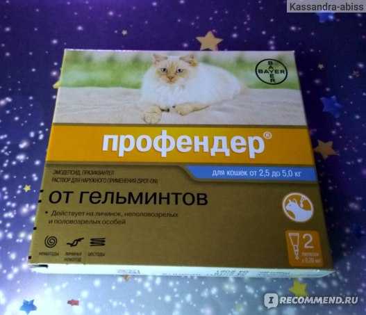 Профендер для кошек: полное описание препарата