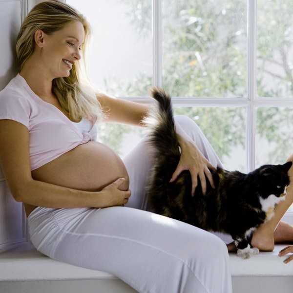 Почему беременным нельзя гладить кошек примета