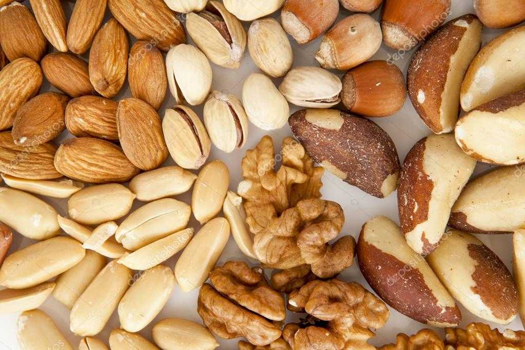 Какие орехи можно хомякам ? другие домашние питомцы