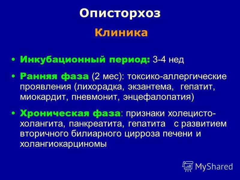 Клиническая картина описторхоза