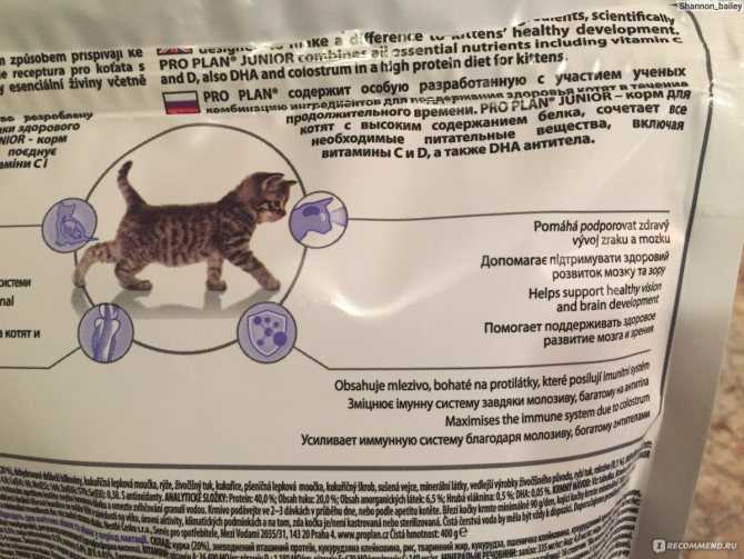 Рейтинг сухих кормов для кошек 2021 года — премиум-класса и холистик по версии ветеринаров