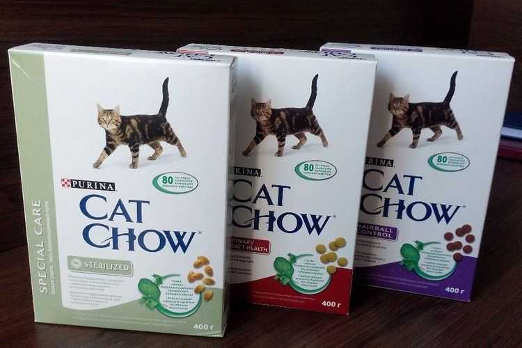 Выбираем самый качественный корм для кошек