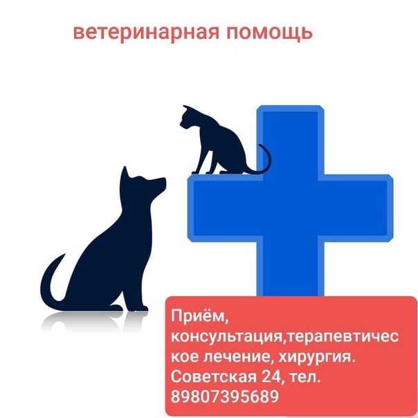Наследственные болезни кошек