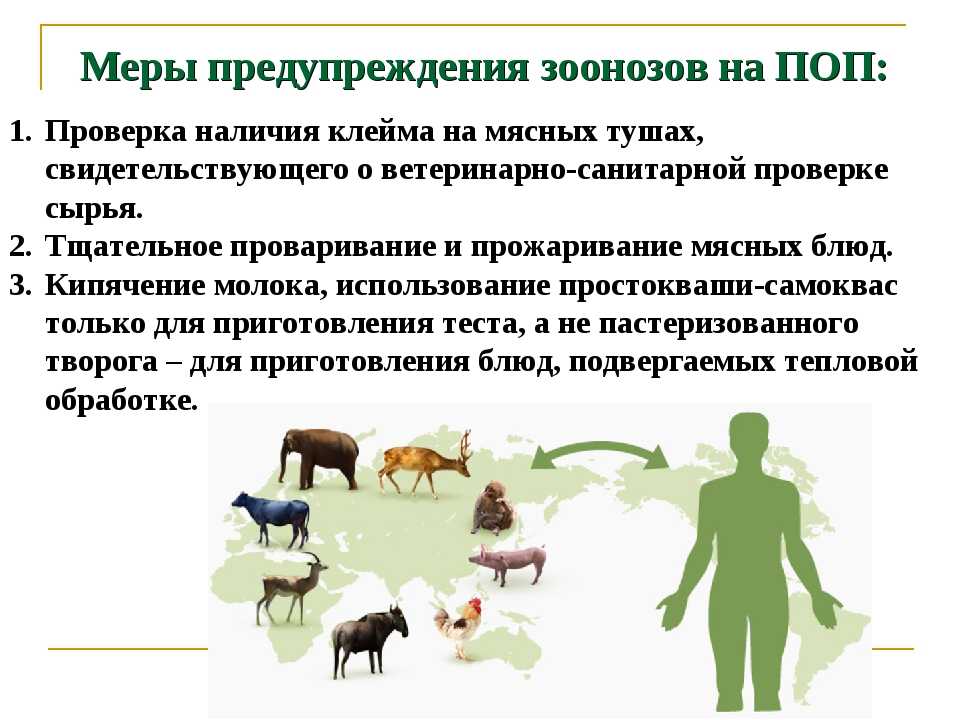 Примеры заболеваний животных