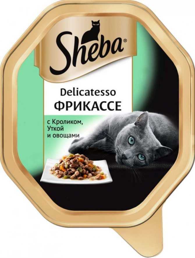Обзор корма для кошек премиум-класса Шеба (Sheba) - анализ состава рациона, отзывы ветеринарных врачей и покупателей, ценовой диапазон