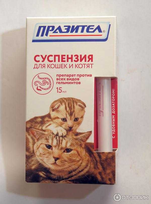 Безобидный парацетамол – смертельно опасен.