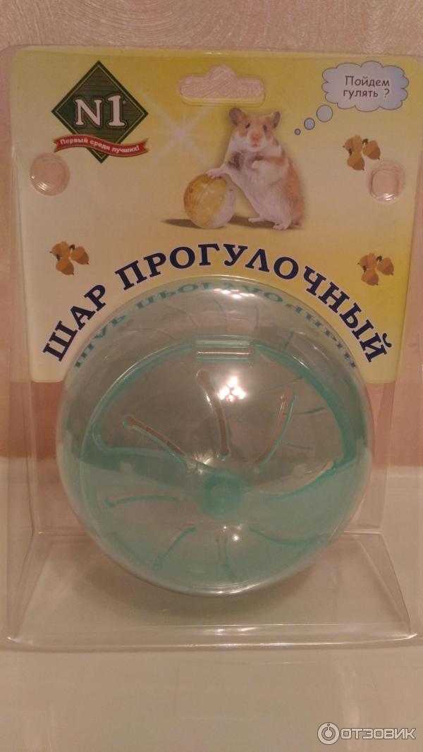 ᐉ прогулочный шар для хомяка: как сделать своими руками в домашних условиях - kcc-zoo.ru