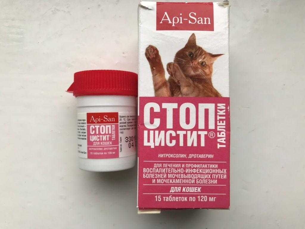 Диета при оксалатном типе мочекаменной болезни для кошек