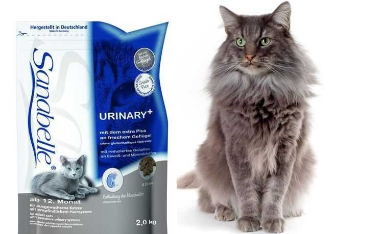 Корм Уринари (Urinary) для кошек: производители ветеринарных диет, предназначение, состав, диапазон стоимости, отзывы покупателей