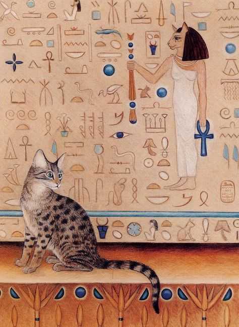 Кошки в египте: история, значение, внешность, характер и повадки, здоровье, мумификация