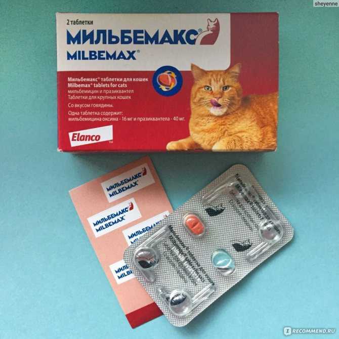 Мильбемакс для кошек – современное средство от гельминтоза