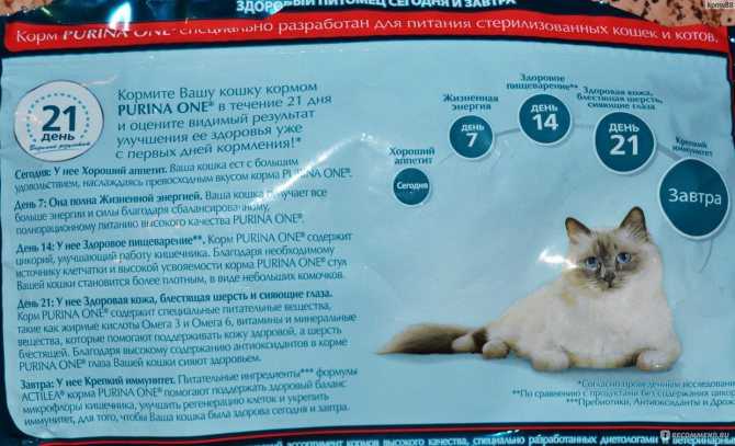 Обзор корма для кошек наша марка: виды, состав, отзывы