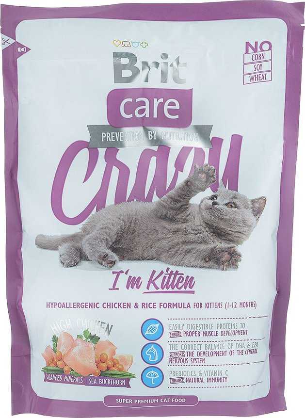 Чем кормить кошку, кормящую котят?