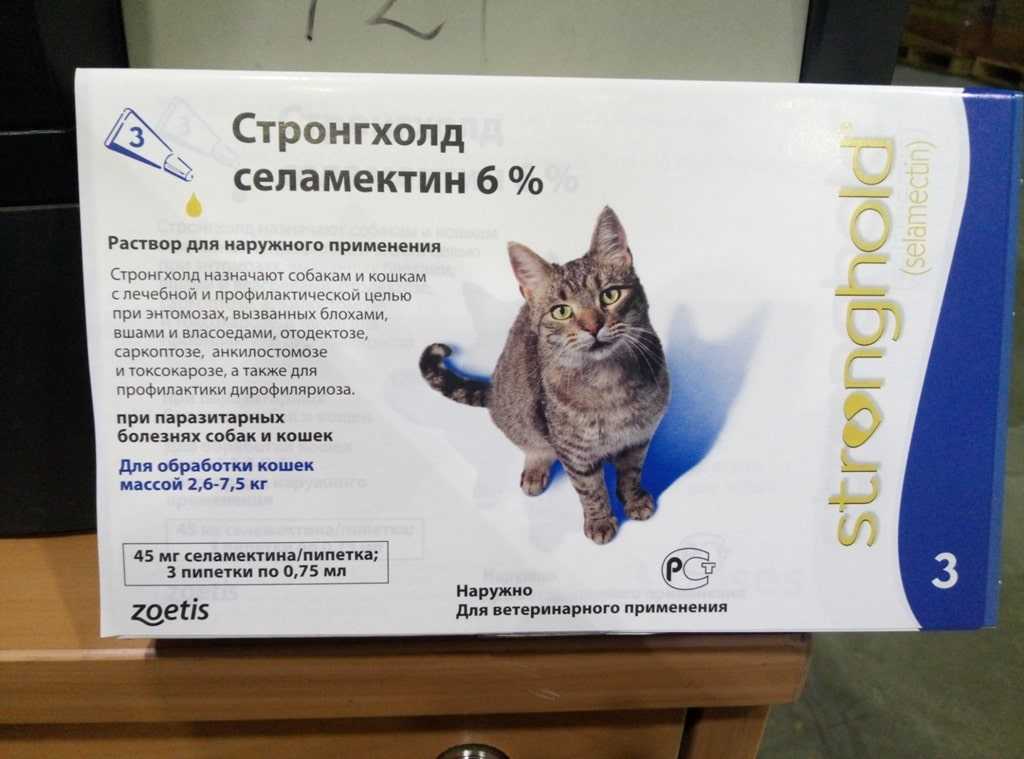 Противопаразитарные капли для кошек Стронгхолд: состав и принцип действия препарата, инструкция по применению и расчету дозировки, ориентировочная стоимость