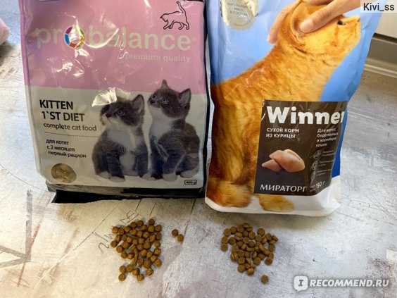 Подробный анализ состава кормов наша марка для кошек и котят: обзор питания