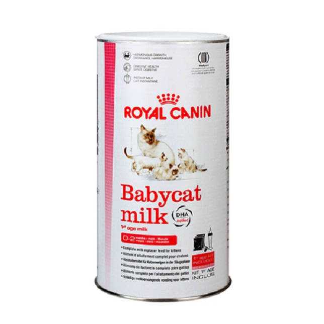 Как выкормить котенка без кошки в домашних условиях, заменители кошачьего молока для новорождённых питомцев, приспособления для кормления
