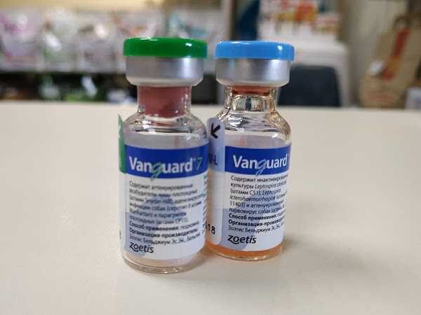 Нобивак dhppi, комплексная вакцина для собак