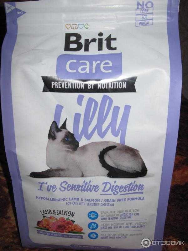 Brit cat корм для кошек. Brit Care для кошек гранулы. Брит Кеа для чувствительного пищеварения для кошек. Брит корм для кошек стерилизованных. Корма для котят супер премиум класса Брит.