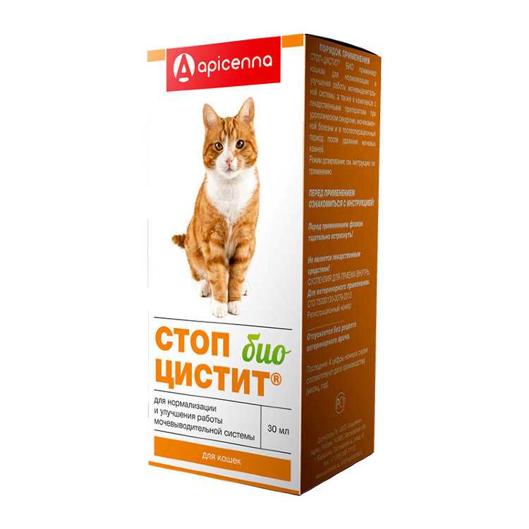 Препарат для кошек Стоп-цистит: состав и механизм действия, побочные эффекты, инструкция применения и расчет дозировки, цены на лекарство, отзывы
