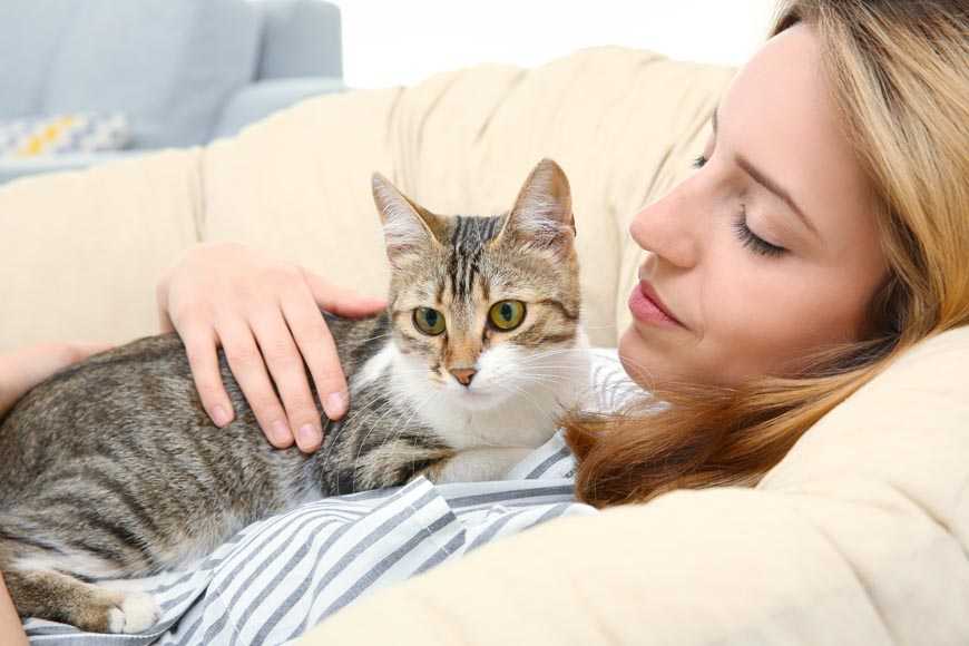 Почему кошка ложится на человека: научные гипотезы и сверхъестественные версии, способности кошки лечить, польза и вред сна человека рядом с кошкой
