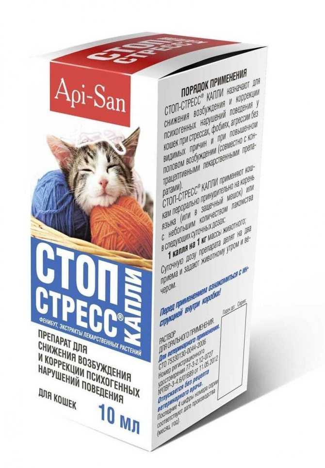 Успокоительные средства для кошек: седативные препараты, их применение, противопоказания, когда лучше обойтись без них