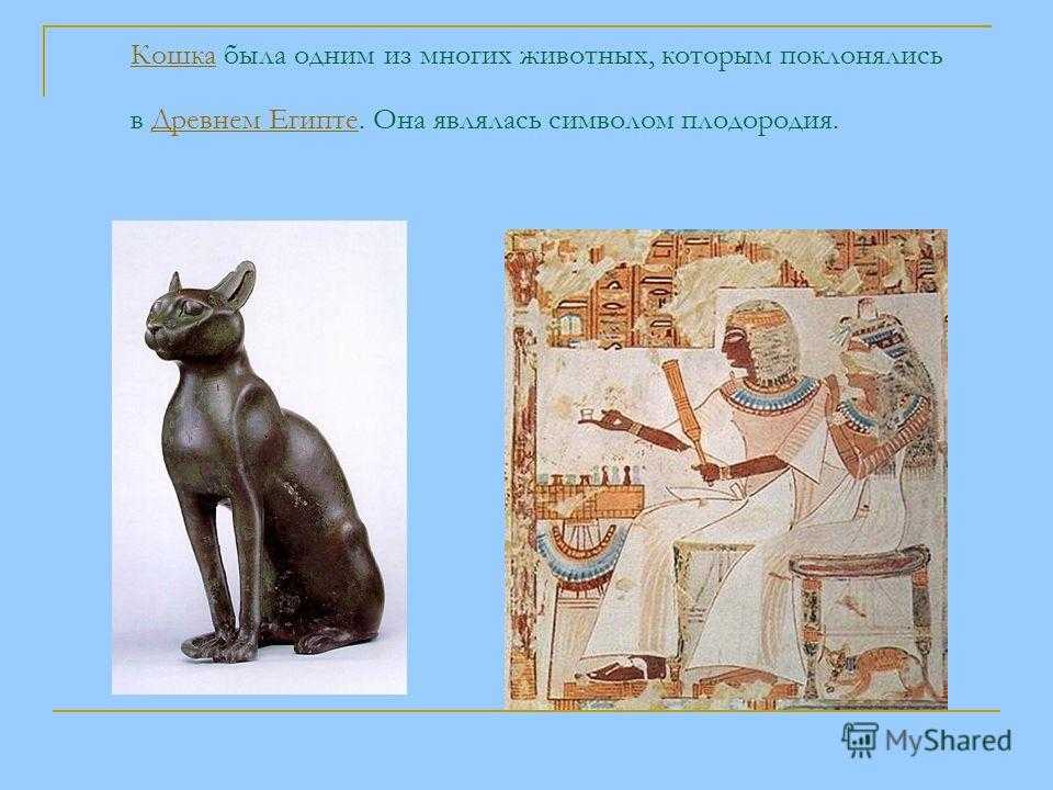 В египте поклонялись кошкам. Священная кошка в древнем Египте. Поклонение кошкам в древнем Египте. Культ животных в древнем Египте. Культы священных животных в древнем Египте.