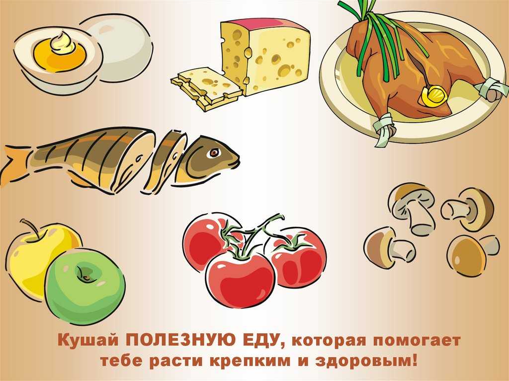 Список разрешенных и запрещенных продуктов для хомяка