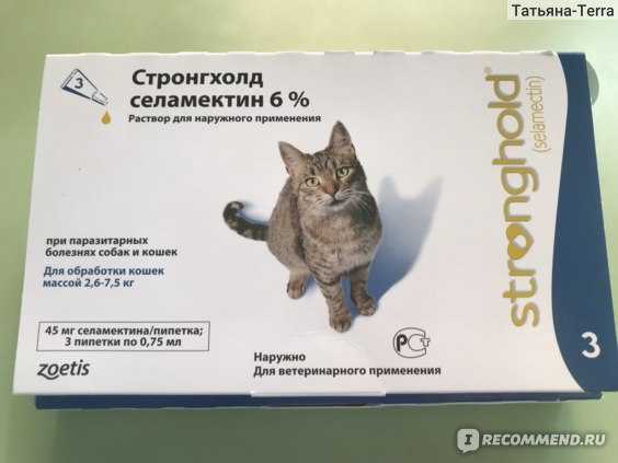 Фармакологическое действие капель стронгхолд для кошек