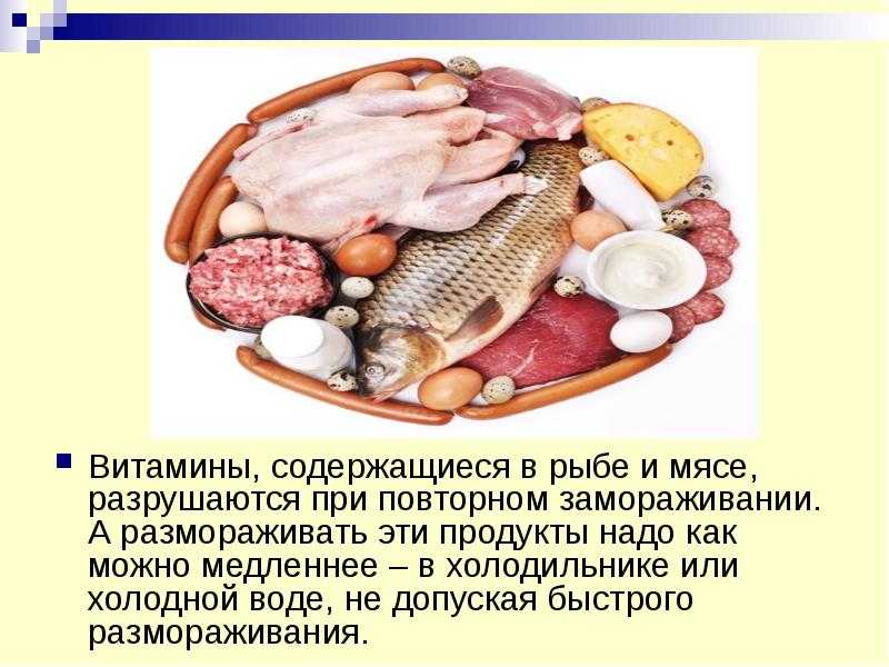 ᐉ можно ли хомякам свежий горох, фасоль и кукурузу - zoopalitra-spb.ru