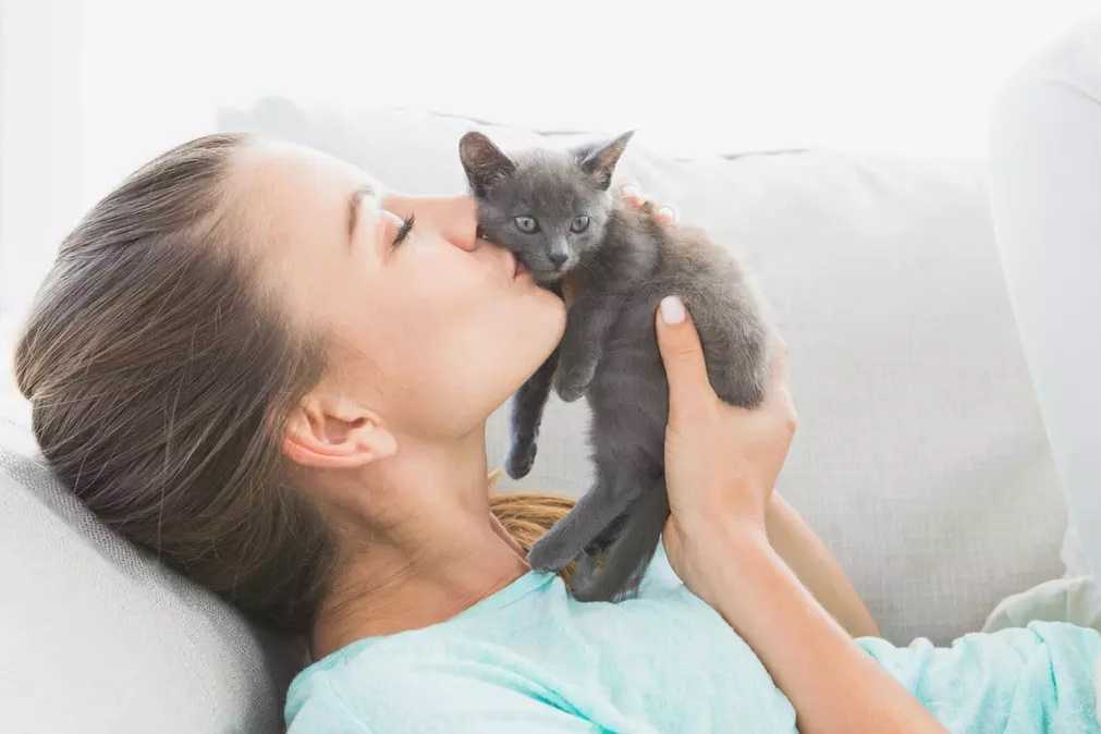 11 признаков того, что ваша кошка вас недолюбливает