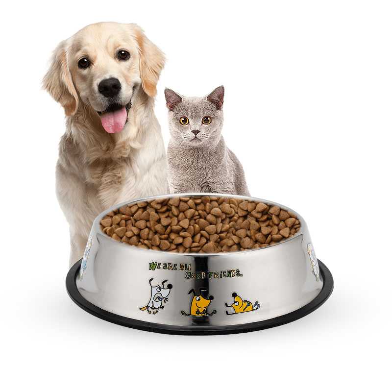 Можно ли давать кормящей кошке влажные консервы, какой корм выбрать, аргументы за и против, советы по выбору питания