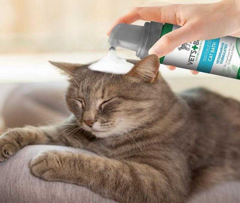 Сухой шампунь для кошек