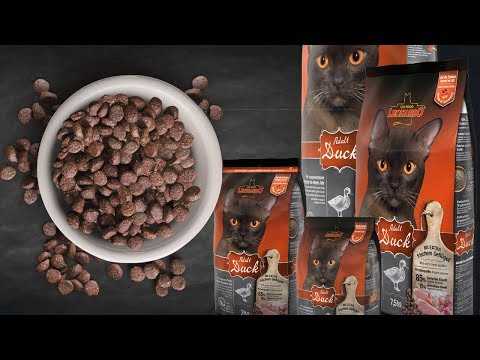Корм leonardo для кошек — полный обзор корма и отзывы