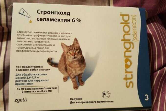 Стронгхолд для кошек: инструкция по применению, отзывы и рекомендации ветеринаров на лекарство, другие аналоги