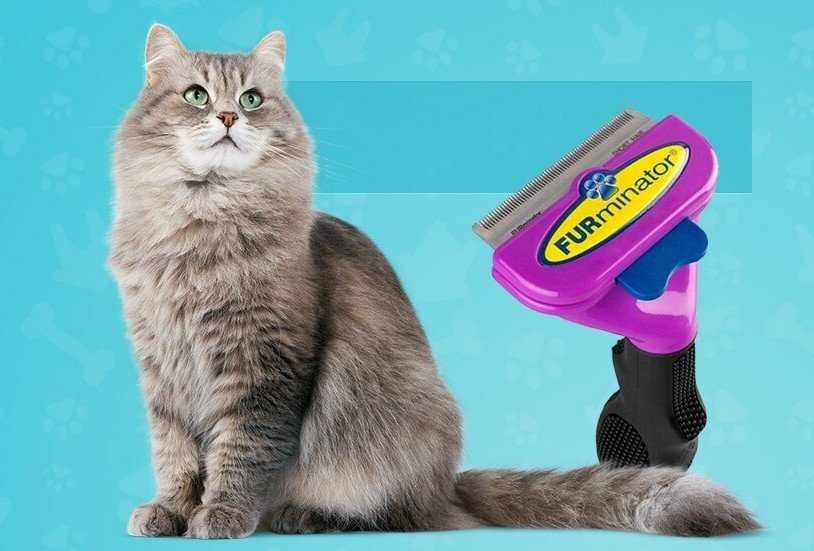 Фурминаторы для кошек (44 фото): что это такое и как пользоваться? преимущества перед пуходеркой и расческой, отзывы владельцев